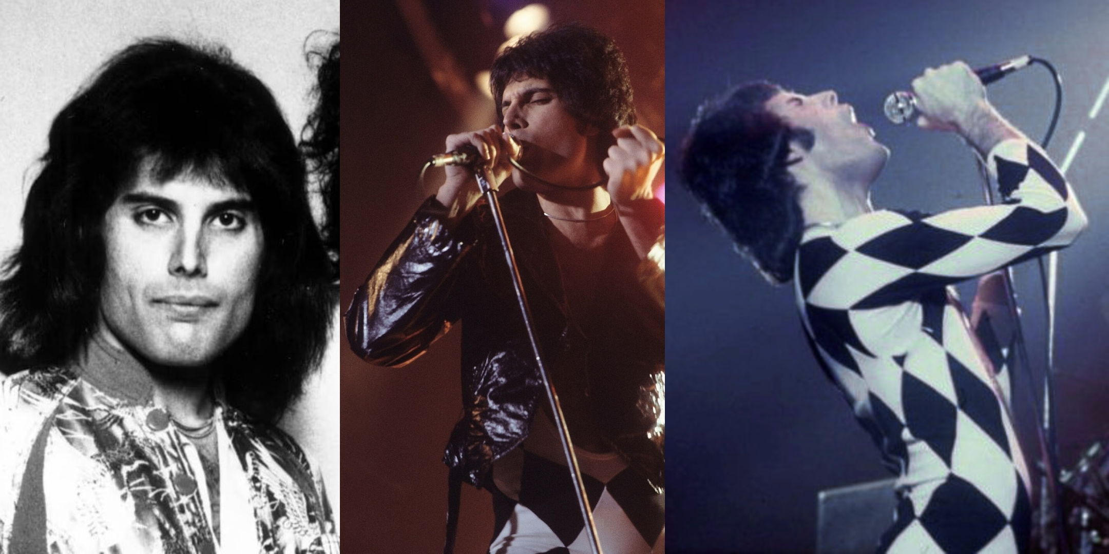 The Show Must Go On! Freddie Mercury Passed Away 35 Years Ago Today