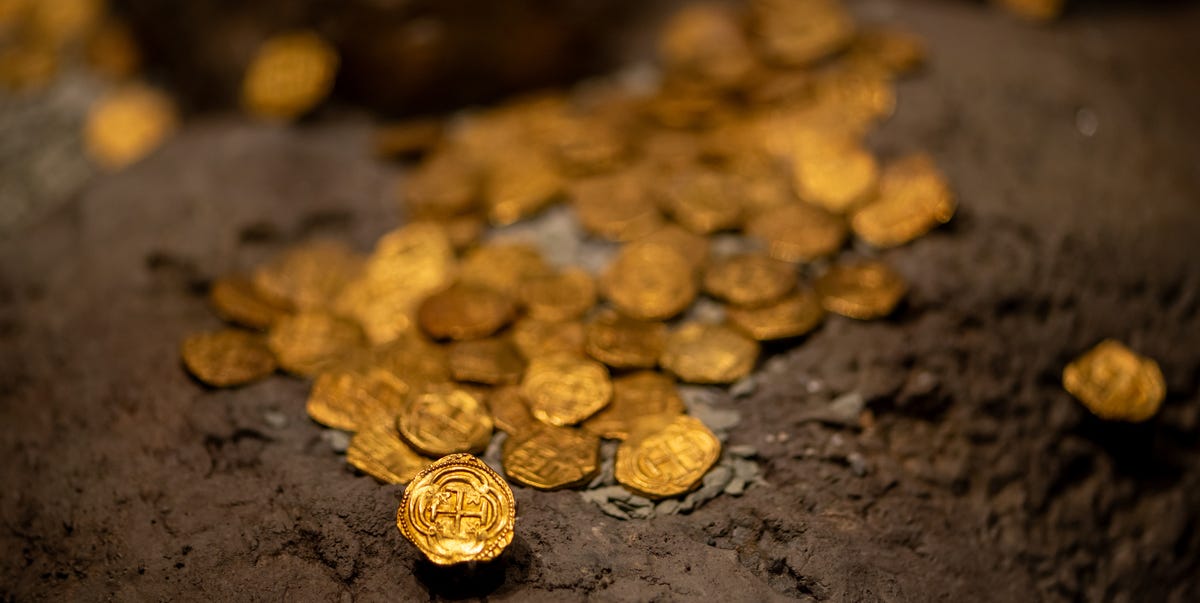 A Man Found Treasure in His Backyard Worth $800K