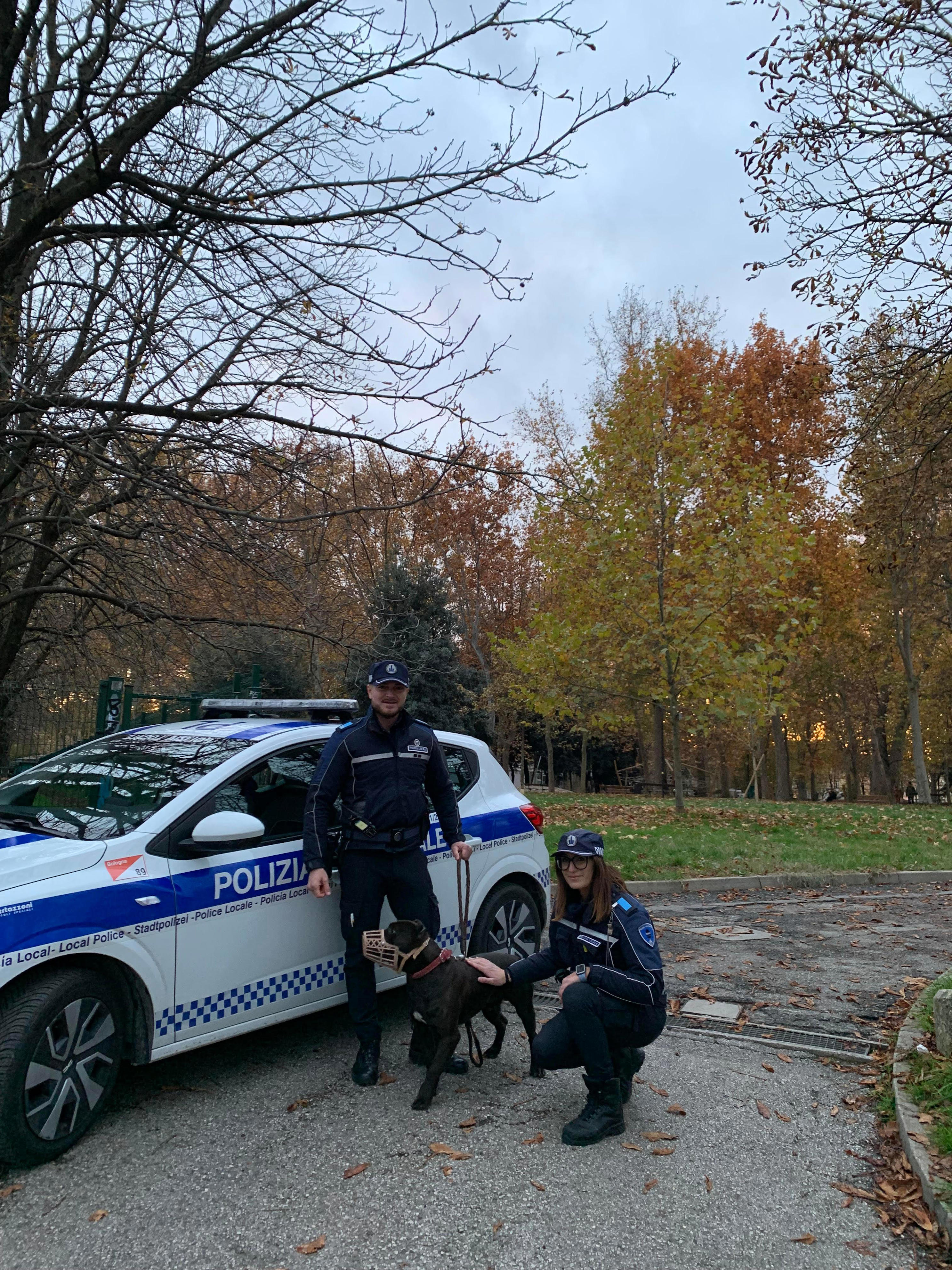 Cane abbandonato al parco, recuperato dalla polizia: era legato a un ...