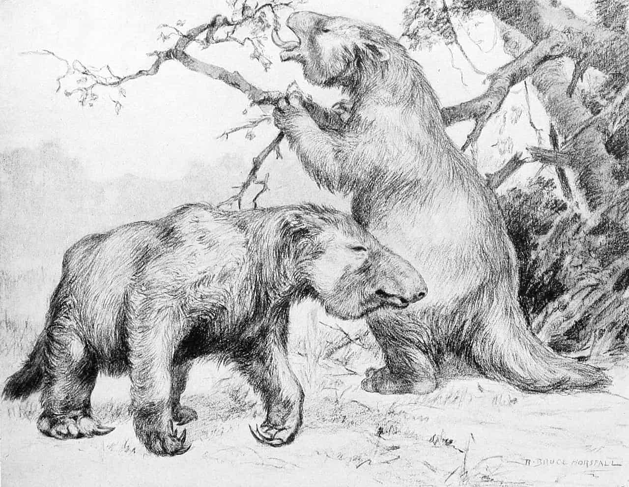 This Prehistoric Ground Sloth Weighed 4 Tons and Had 7-Inch Claws