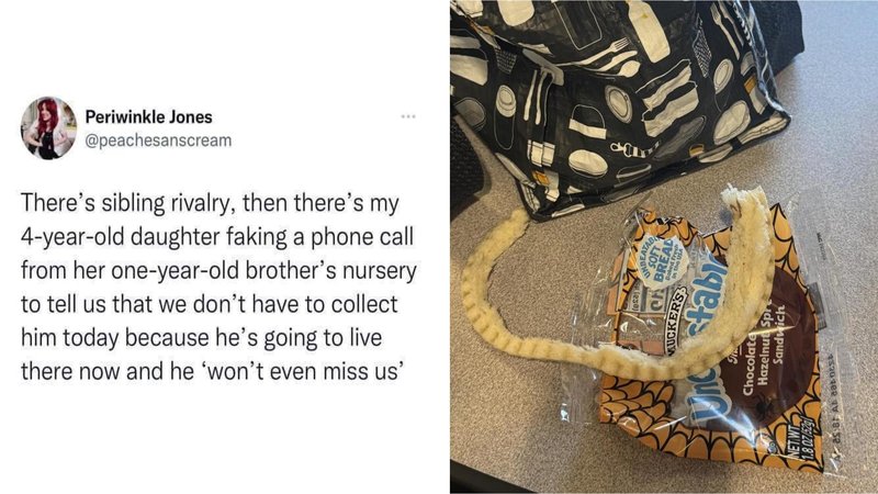 26 Hilariously Dumb Things Said And Done By Kids