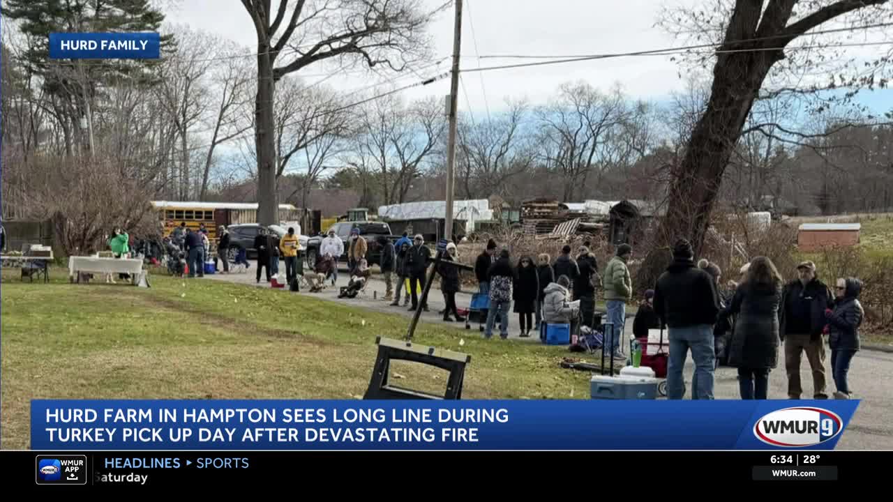 Hurd Farm in Hampton sees long line during turkey pick-up day after ...