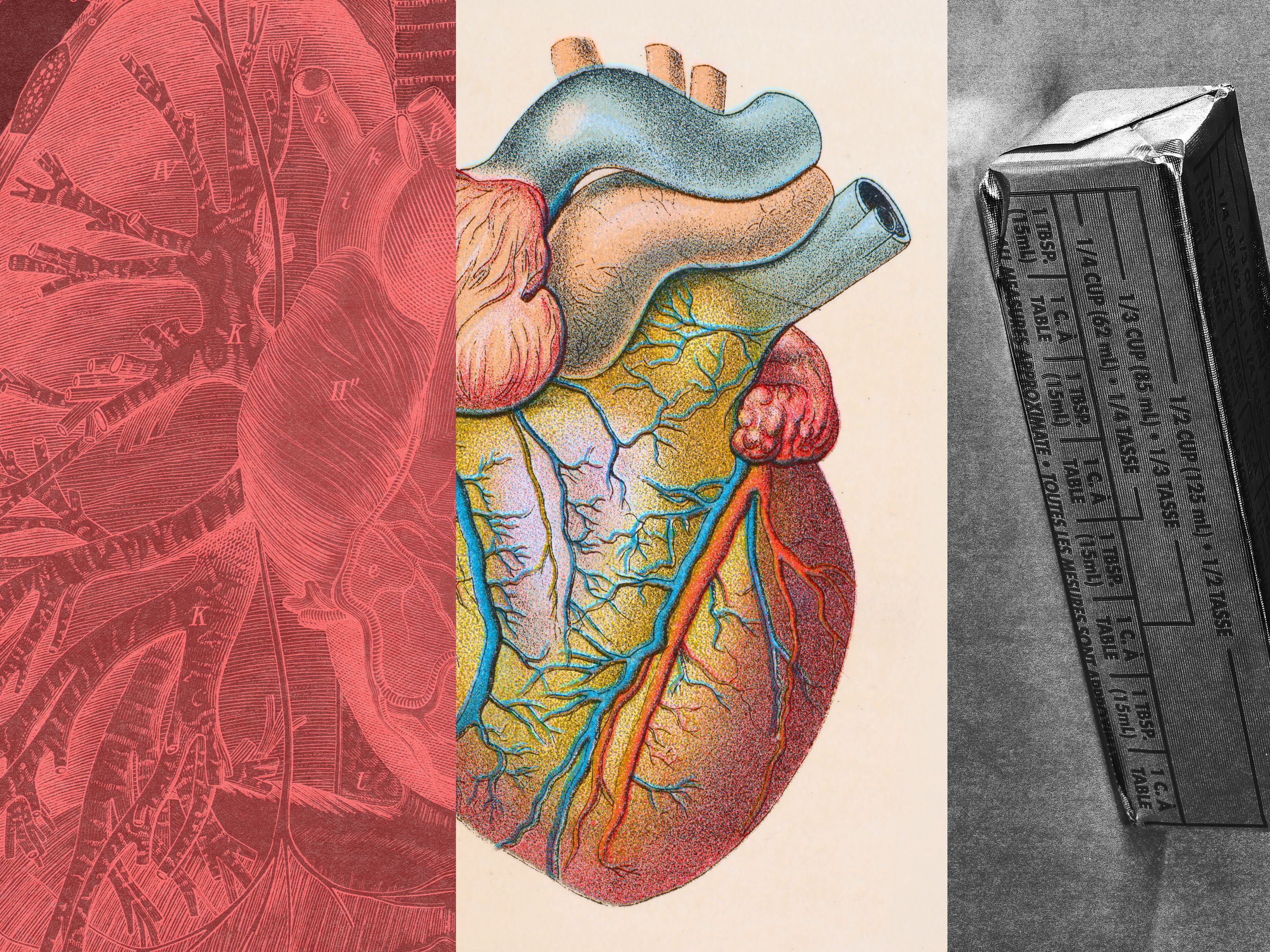 What Is LDL Cholesterol and How Do You Lower It?