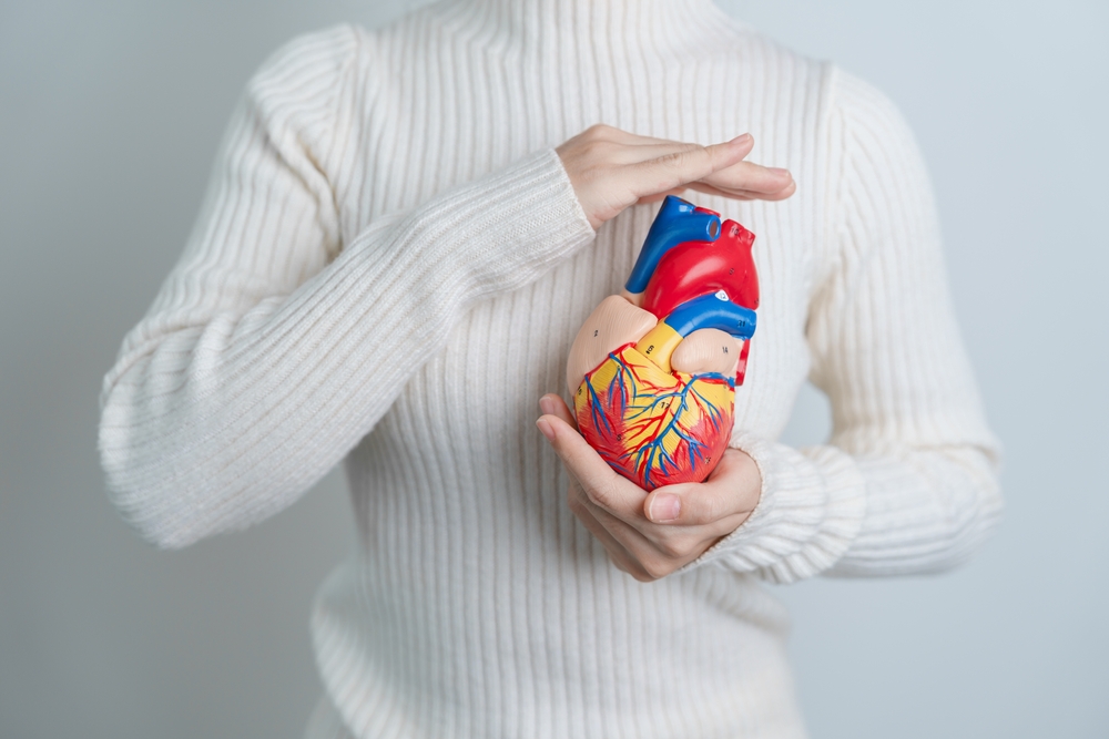 Lab-grown cardiac patch shows early promise
