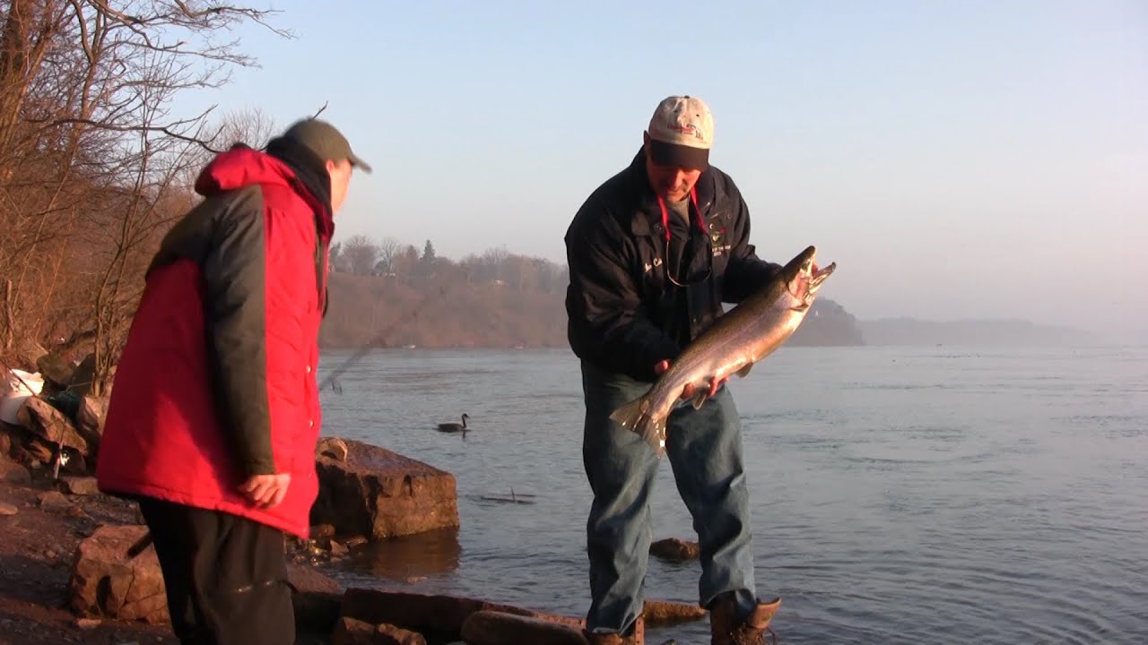 How to fish from shore for trout using streamer flies and roe bags ...