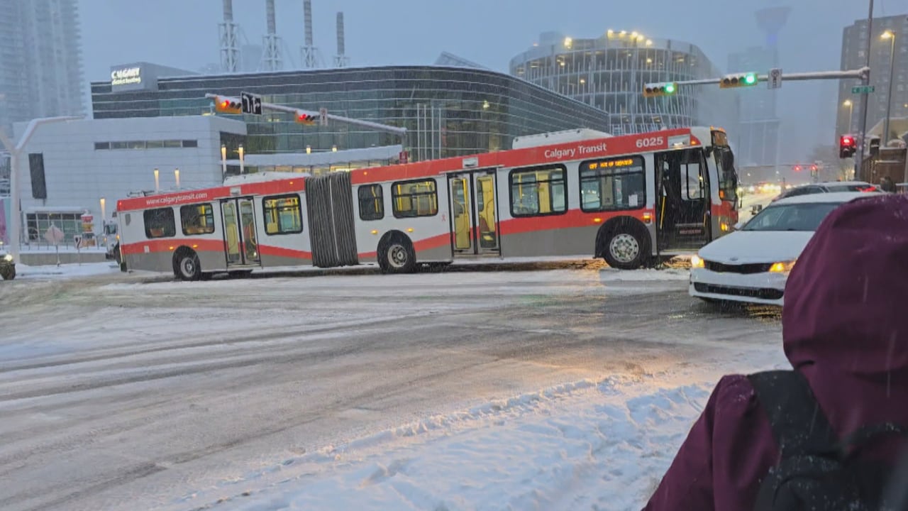 Calgary's first big snowfall pauses flights, strands buses