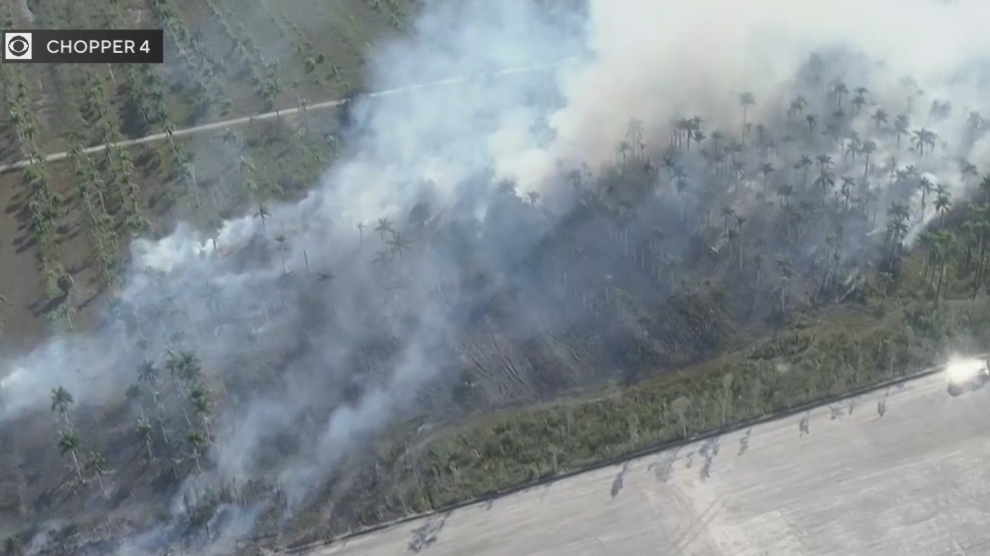 West Miami-Dade brush fire has crews rushing to extinguish growing blaze
