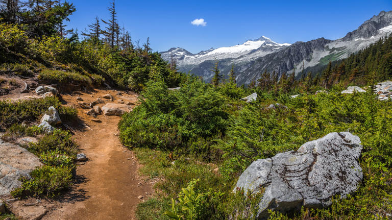 Camping & Foraging Training Awaits At A Unique Wilderness College In ...