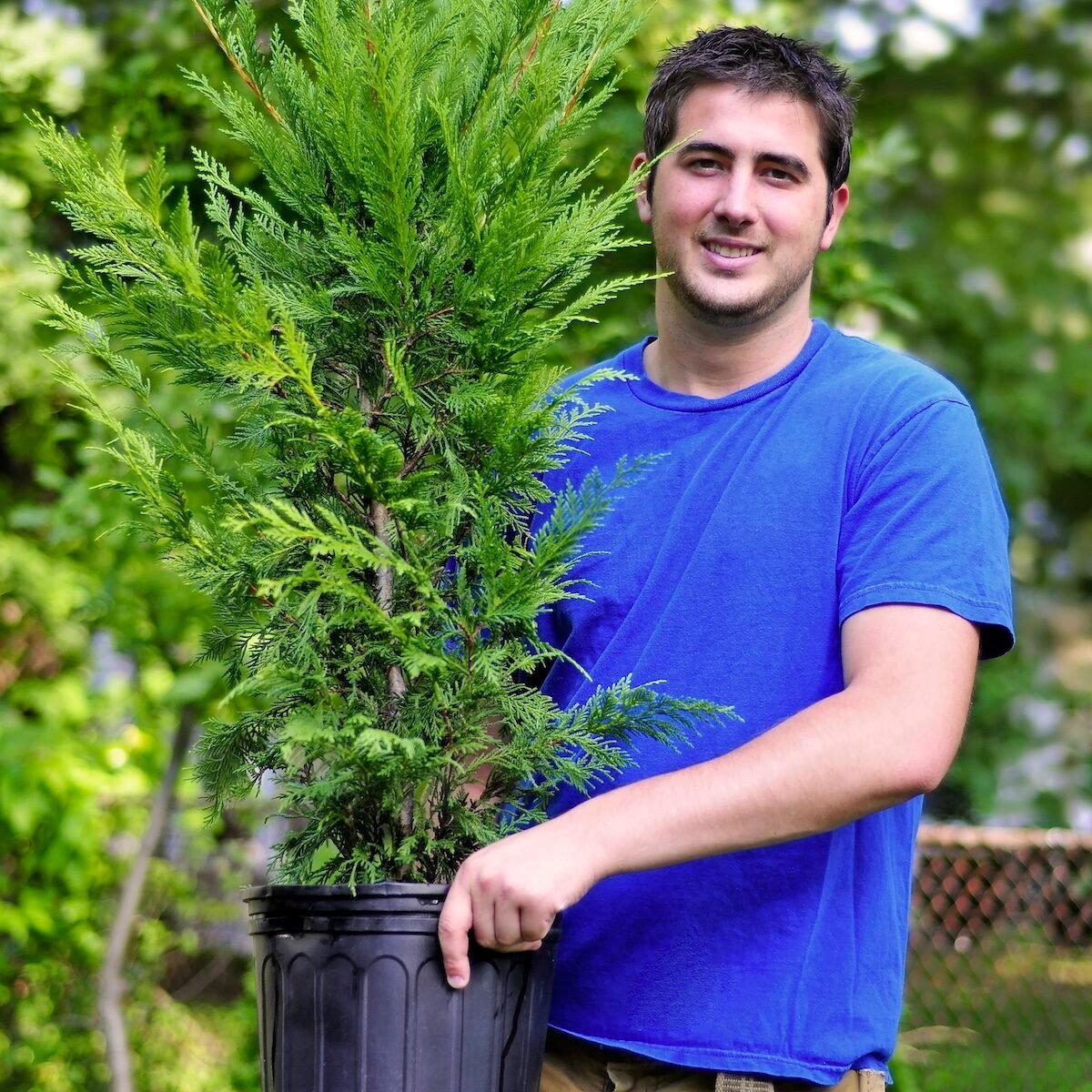 5 Essential Steps for Tree Planting Success