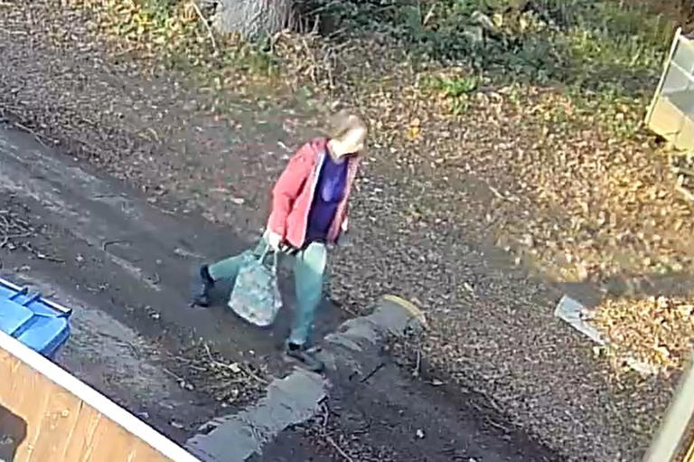 Police issue update as body found in woodlands in search for missing ...