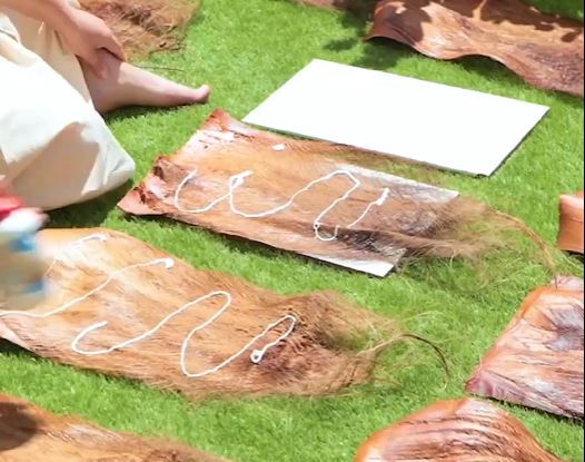 Nature's crafty creations