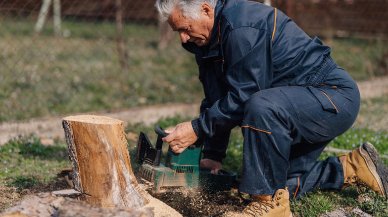 Is Harvesting The Key To Dealing With An Edible Invasive Fruit Tree ...