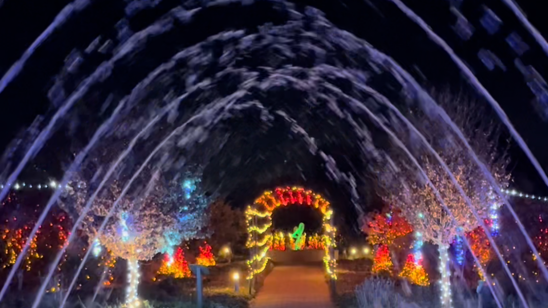 Can #39 t miss holiday traditions in Charlotte NC