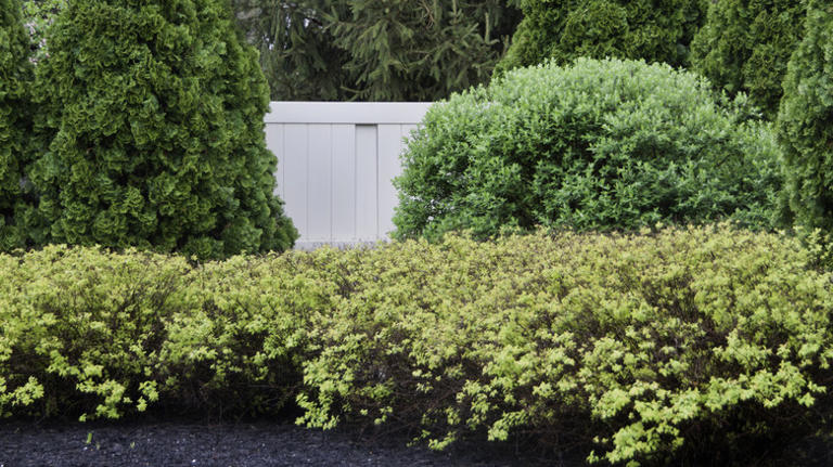 How To Soundproof Your Outdoor Living Space For A Quiet Backyard