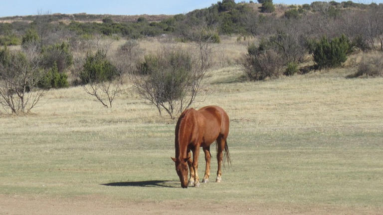 Texas' Gem Is A Historic Cowboy Town With Friendly Faces And Wide-Open ...