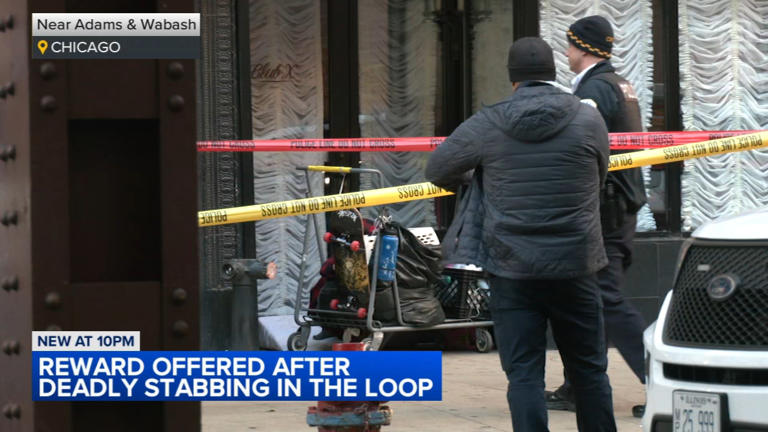 6 in custody after man experiencing homelessness stabbed to death ...