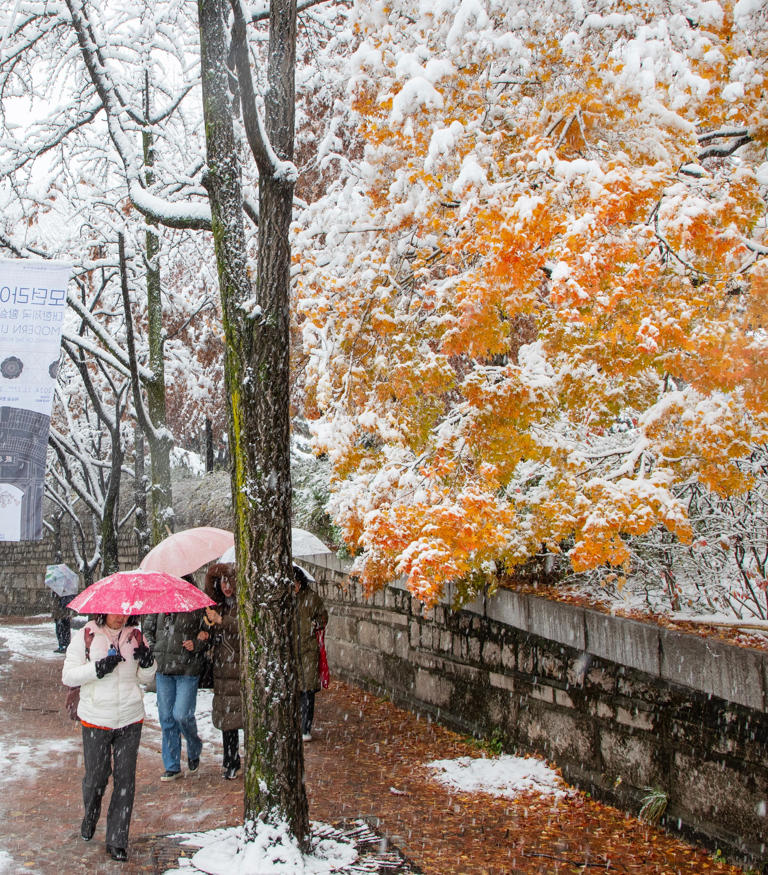 Will Seoul See Heavy Snow Again This Winter?