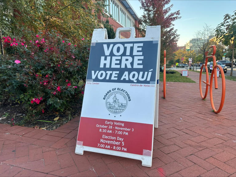 DC Board of Elections works to roll out ranked choice voting in 2026 ...