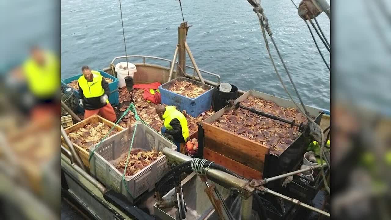Oregon commercial Dungeness crab season to partially open Dec. 16