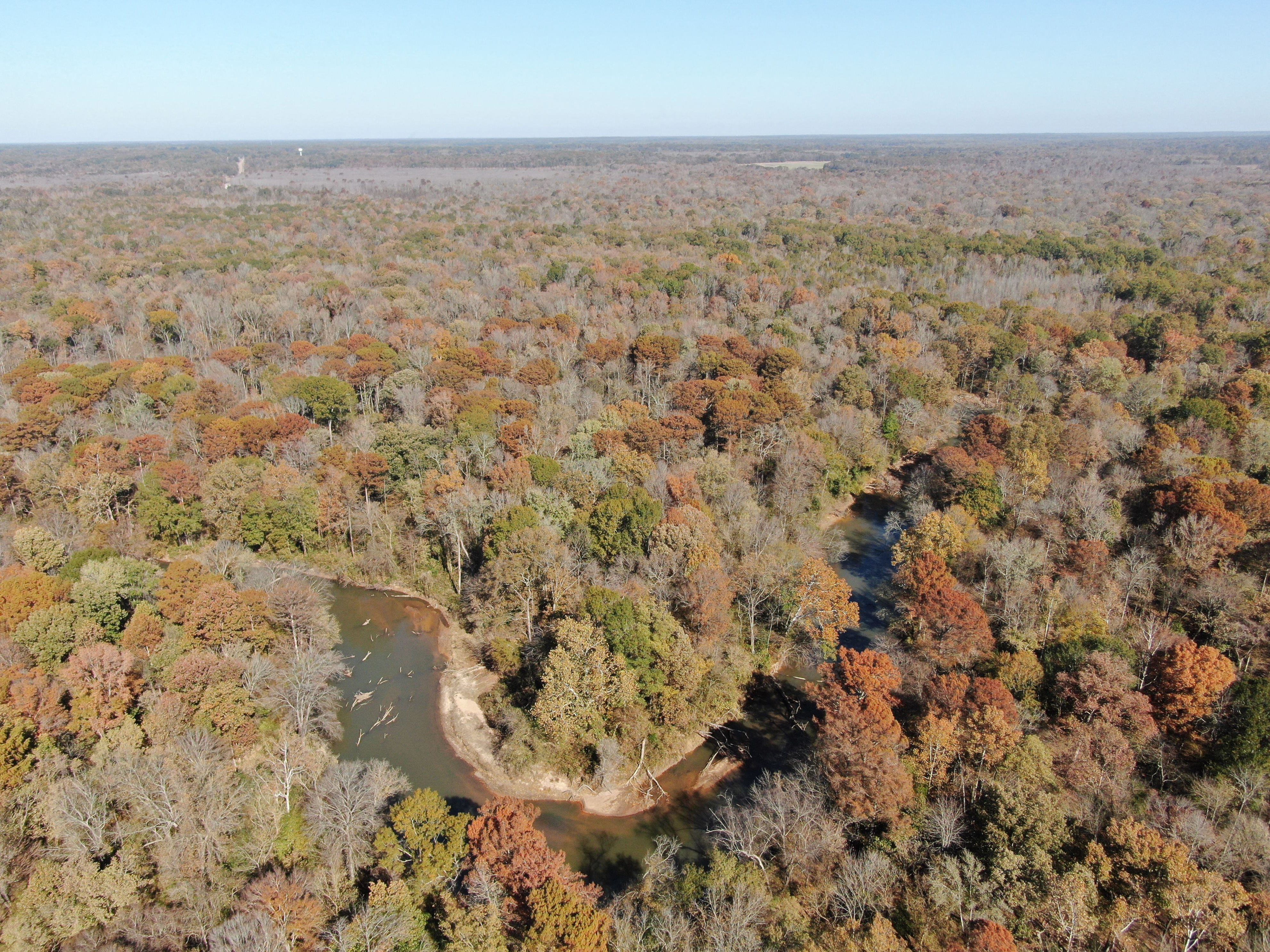 Hundreds of acres of wetlands in Wolf River watershed now under protection