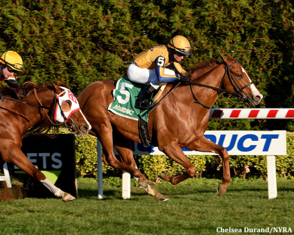 Curlin’s Honor Moves To West Virginia’s O’Sullivan Farms For 2026