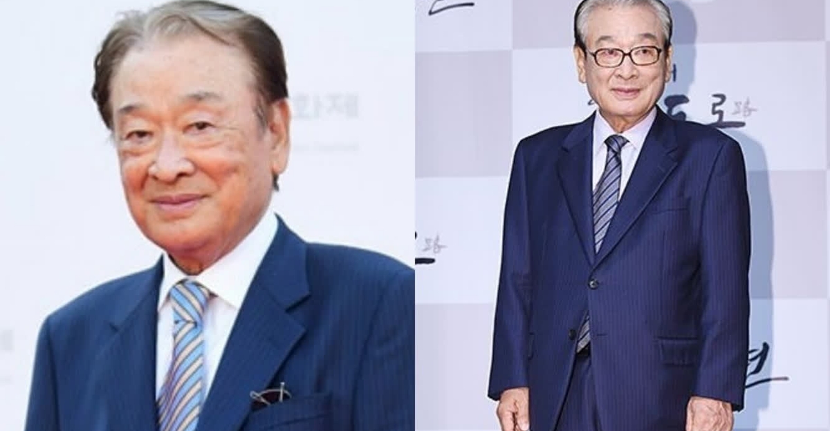 MSN 연예 관련 이미지