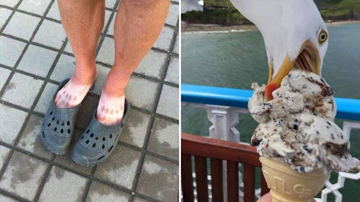 15 Photos that prove summertime is overrated