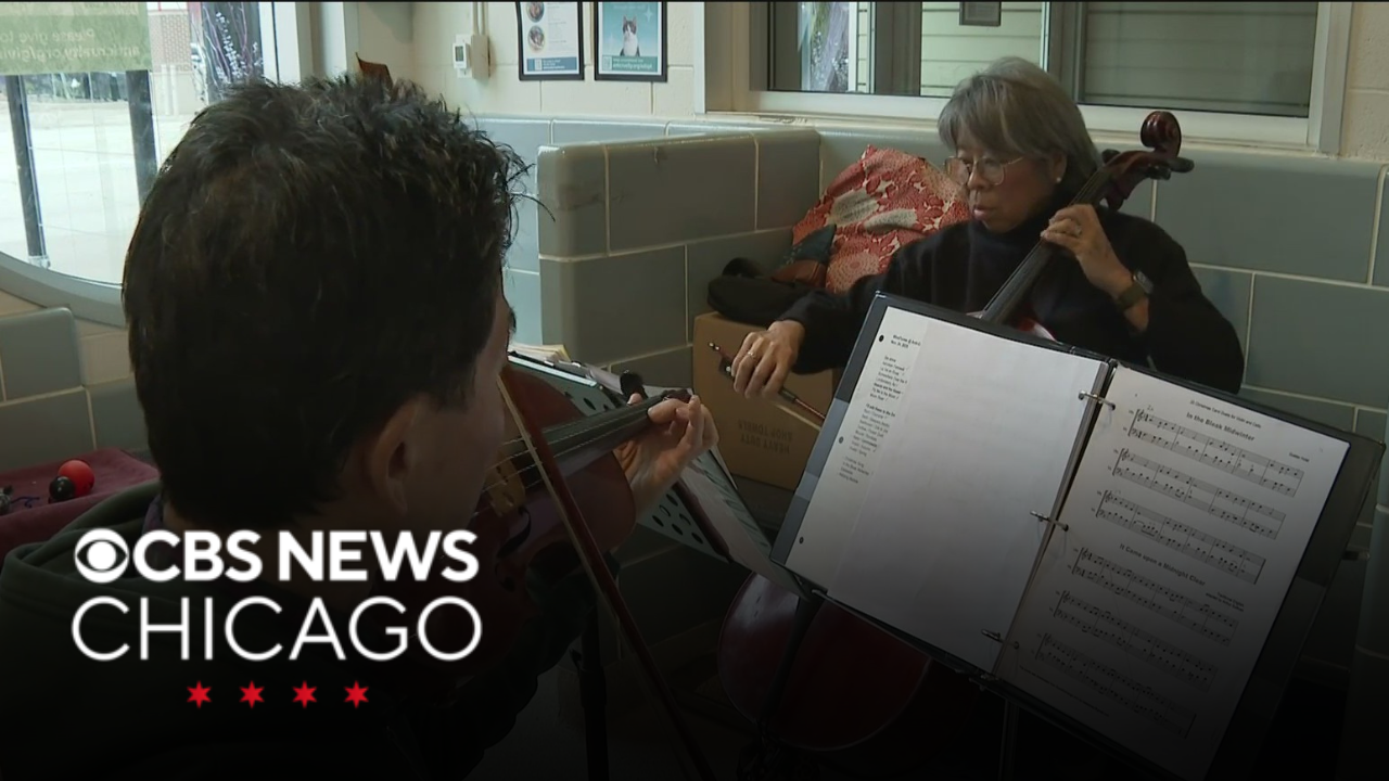 Volunteer musicians play for animals at Anti-Cruelty shelter