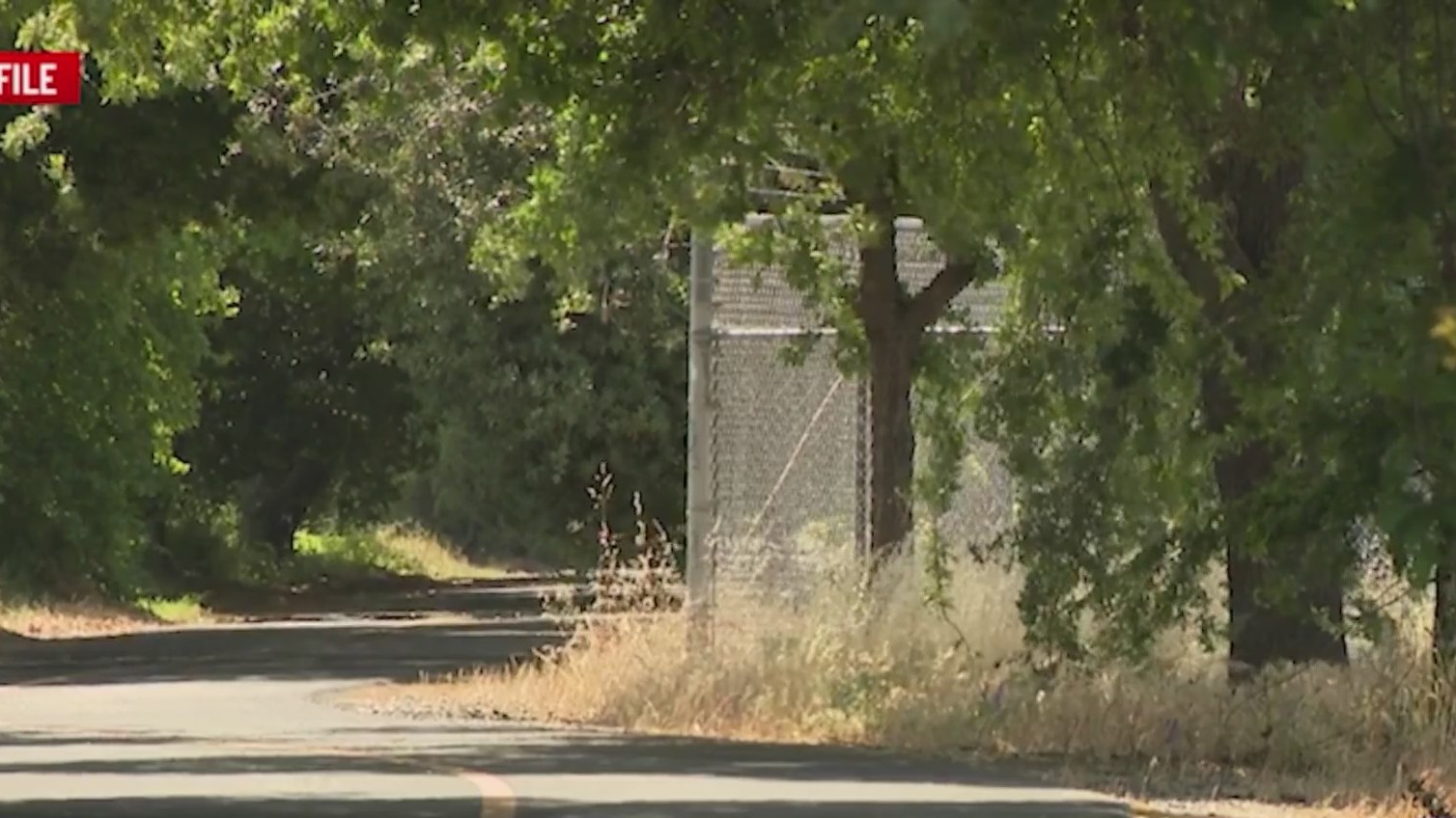 Placer County Sheriff's Office launches a Cold Case Foundation
