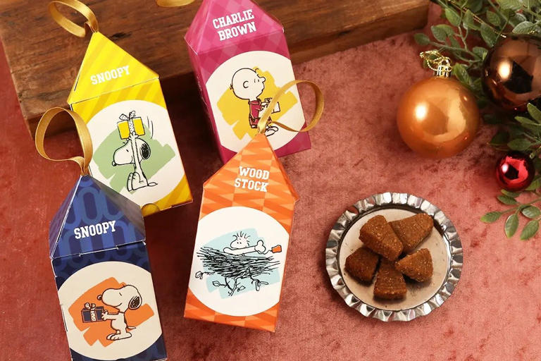 ポーチと焼き菓子ぎっしり6点”4290円クリスマスBOX！スヌーピーの世界