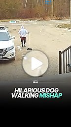 Hilarious dog walking mishap leaves owner panicking
