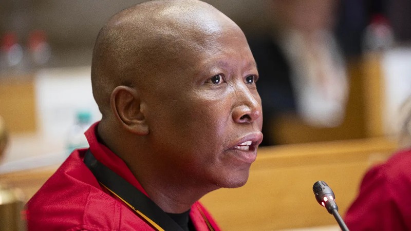 'Under-resourced' Ad Hoc Committee at risk, Malema warns Parliament