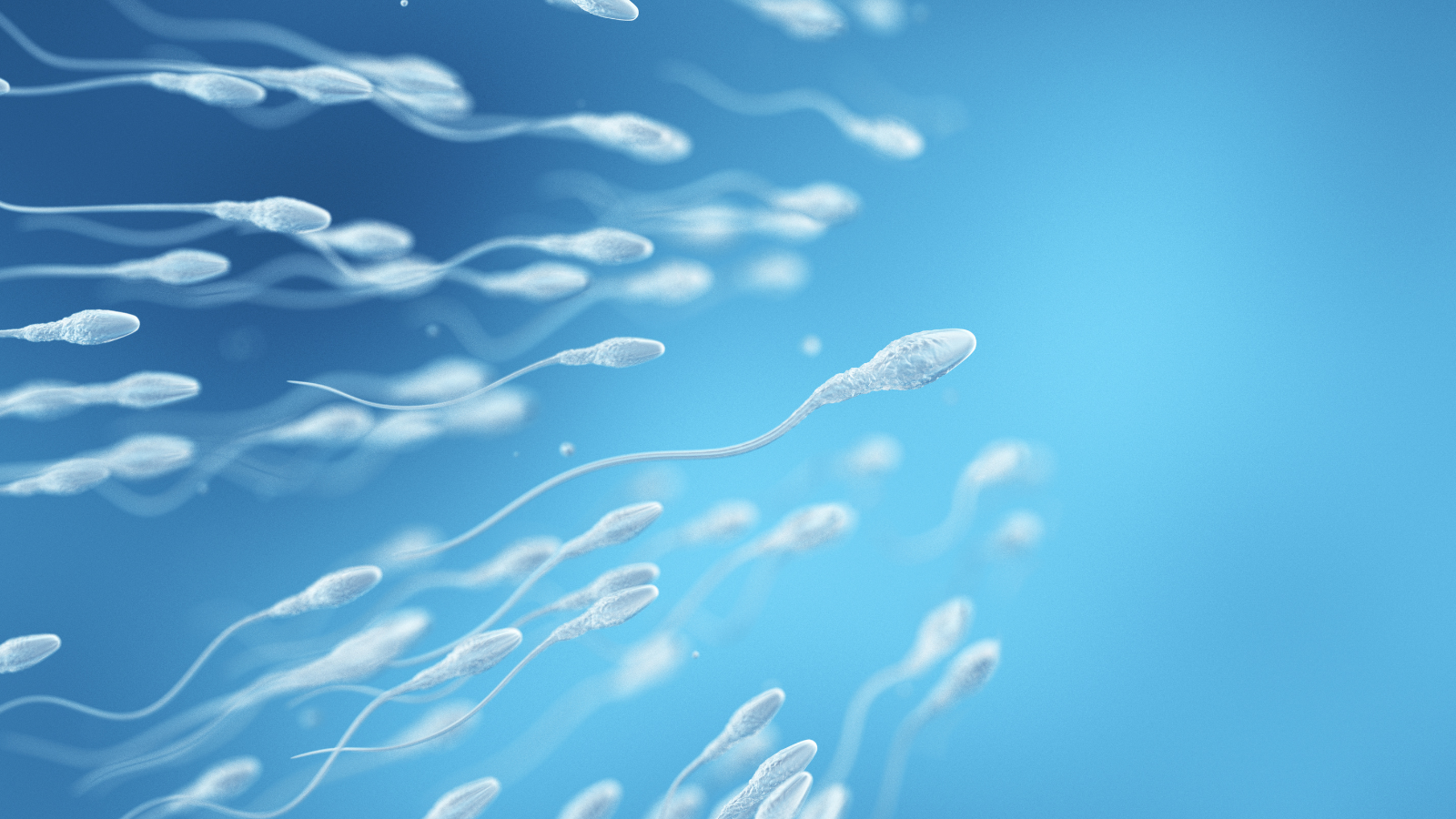 How Male Fertility Influences Morning Sickness and Early Development