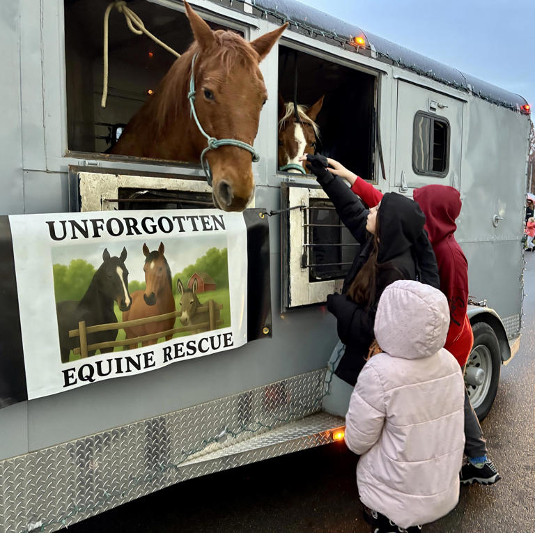 'They don't deserve to be put on a slaughter truck,' horse rescuers say