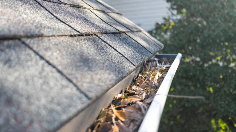 8 Signs That Your Gutters Are Clogged & Need Cleaning