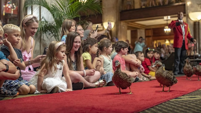Meet Kenon Walker: the Duck Master of the Peabody Hotel