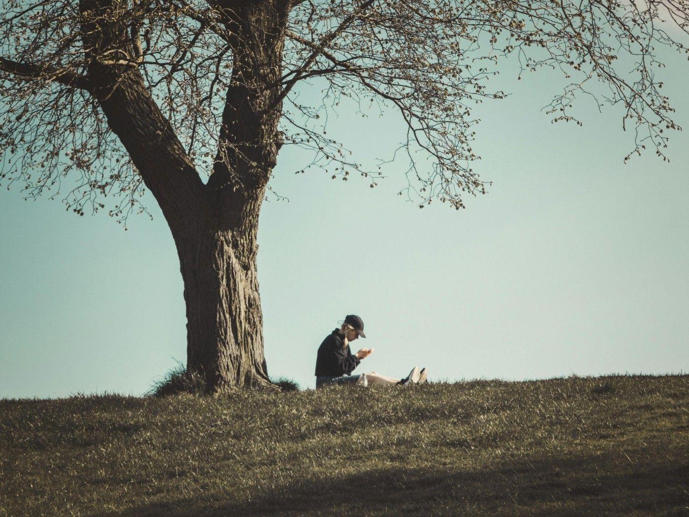 Why Britain is one of the world s least nature connected nations