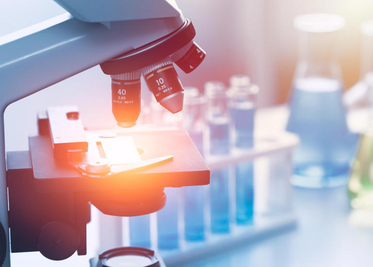 Australian research finds promising triple-drug combination for motor ...