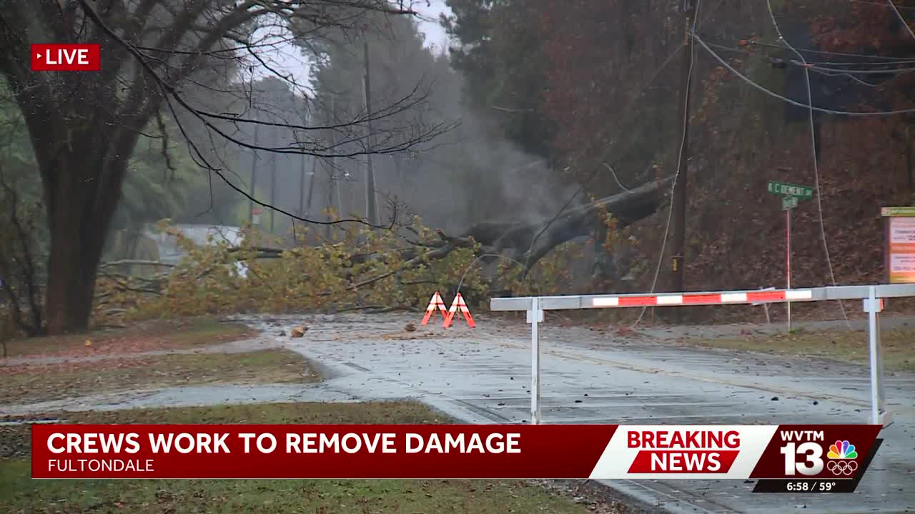 Videos and damage reports: Severe storms cause downed trees on homes ...