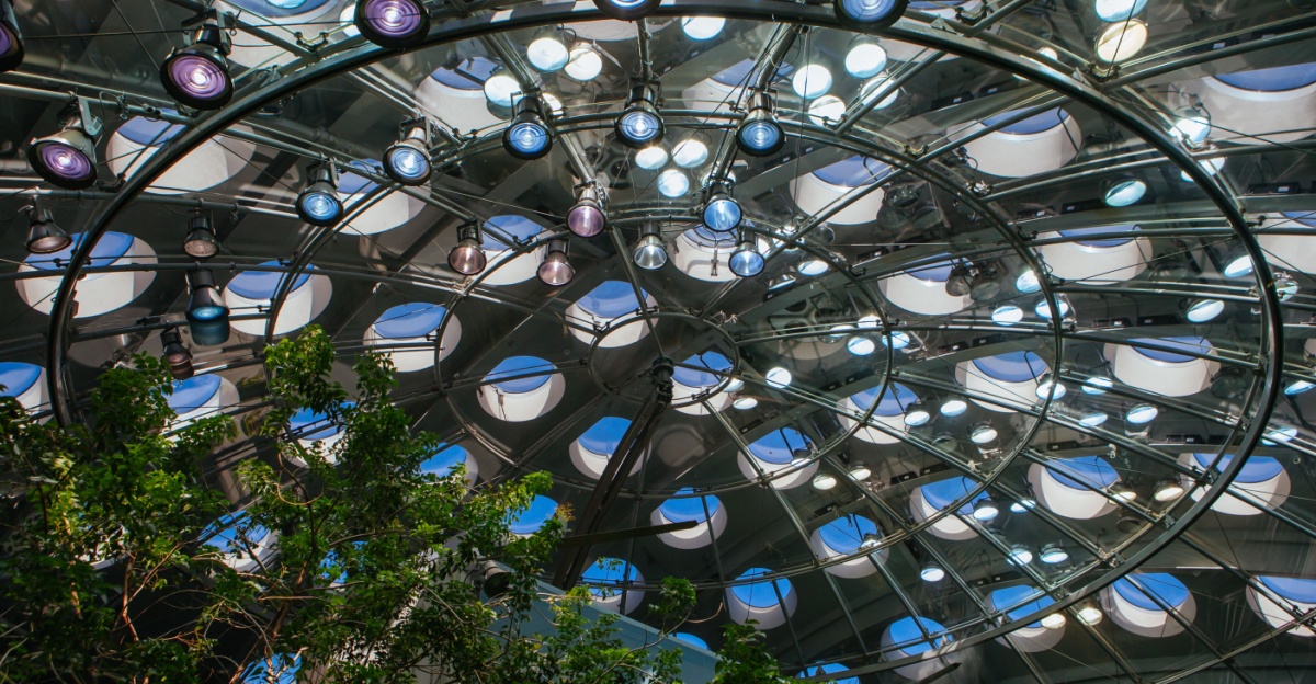 14-family-friendly-activities-in-san-francisco