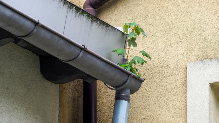 8 Signs That Your Gutters Are Clogged & Need Cleaning