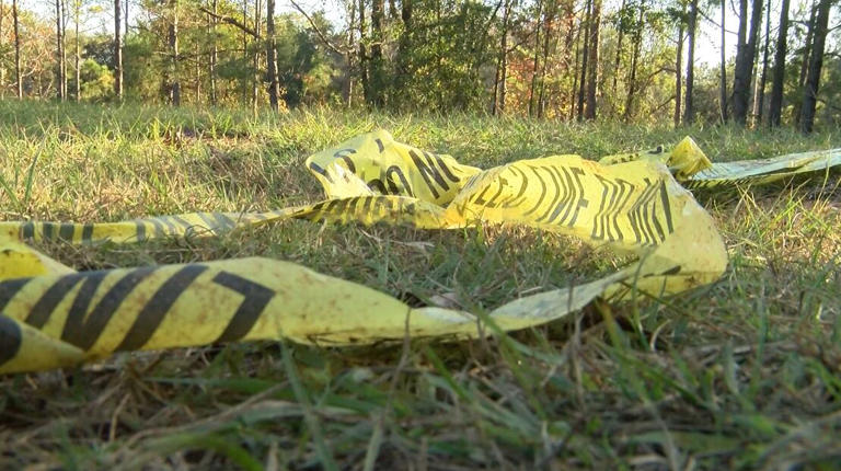 3 dead in related Wilcox County shootings, authorities say