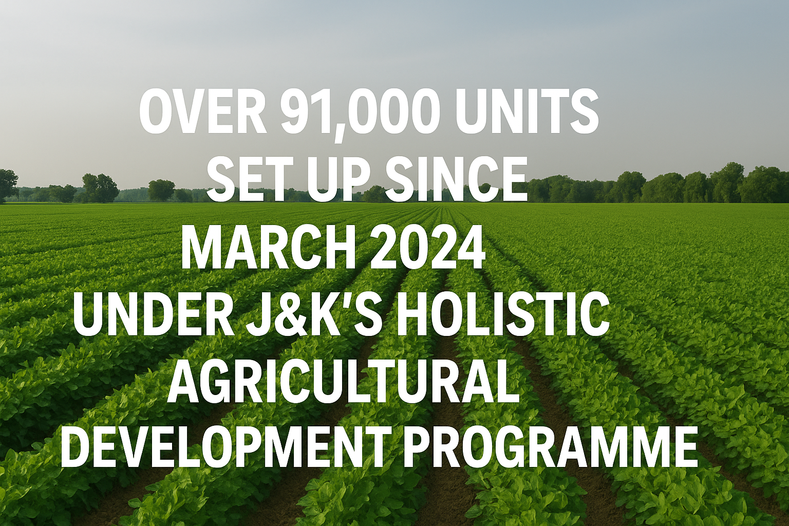 Over 91,000 units set up since March 2024 under J&K's holistic ...
