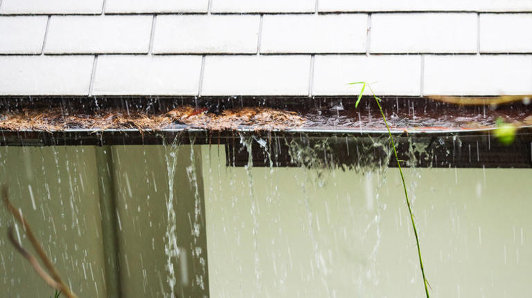 8 Signs That Your Gutters Are Clogged & Need Cleaning