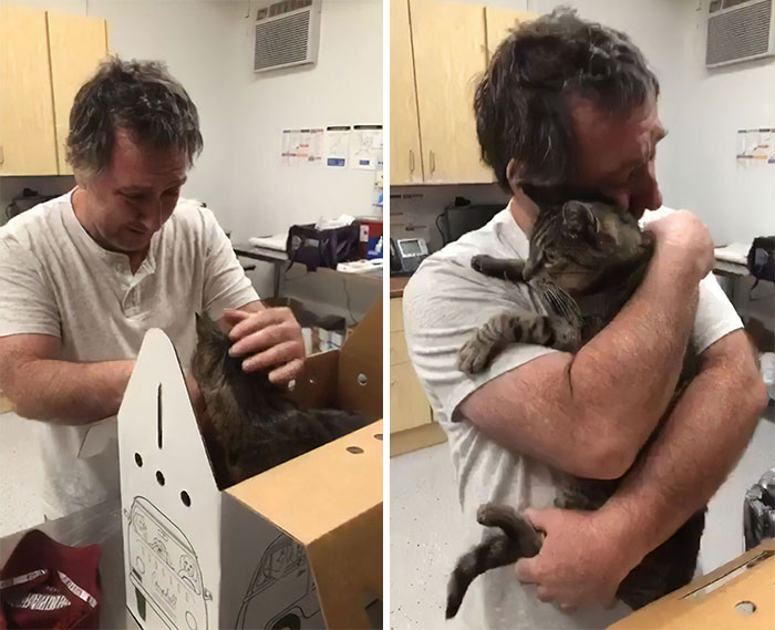 26 Stories Of Owners Finding Missing Cats Years After They Disappeared