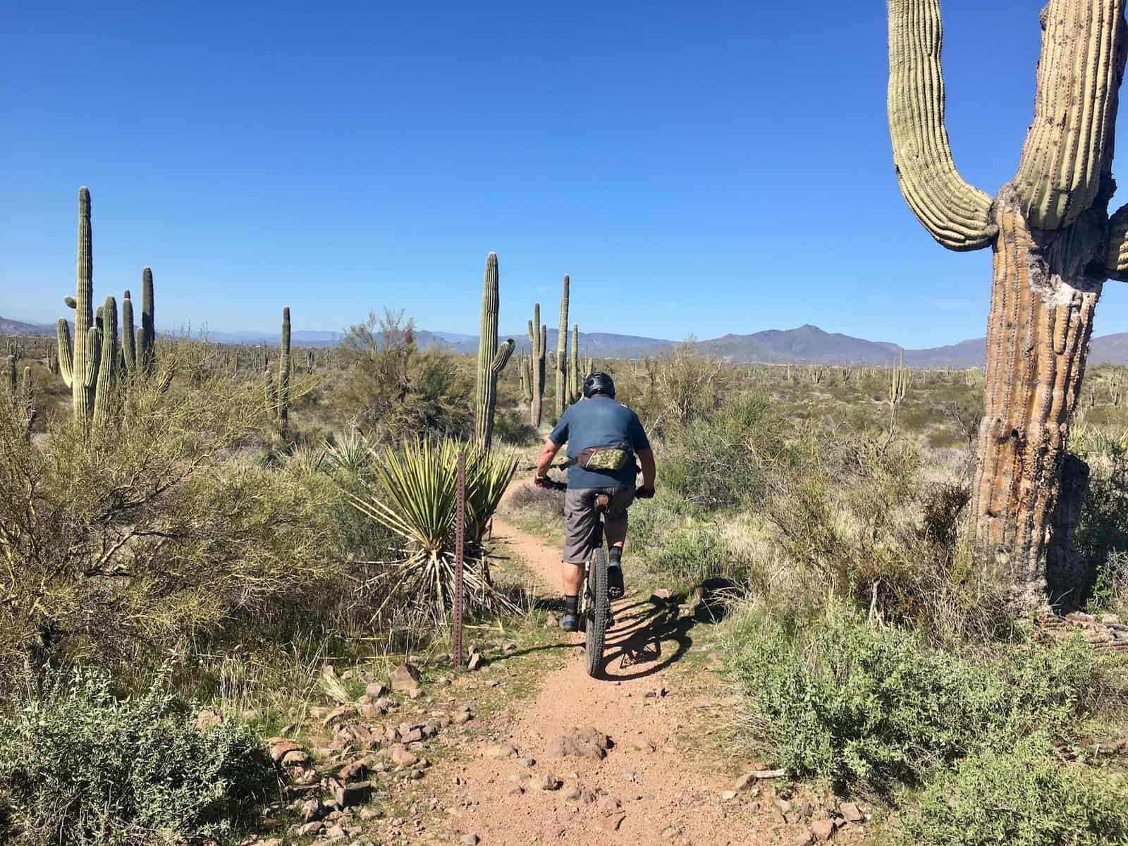 A Mountain Biker’s Guide to Phoenix, AZ: My Favorite Desert Riding!