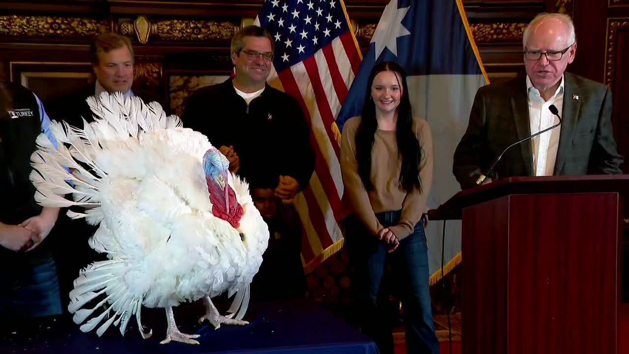 Gov. Walz presents Minnesota's Thanksgiving turkey