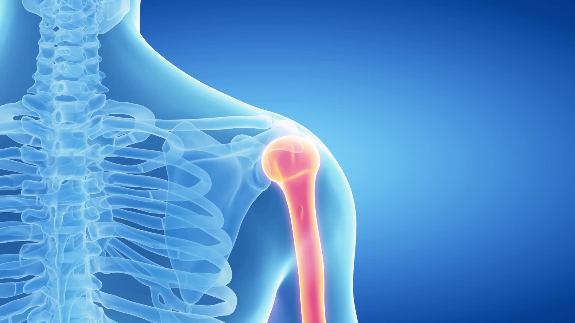 Bone density testing options: DEXA scans, REMS technology, and ...