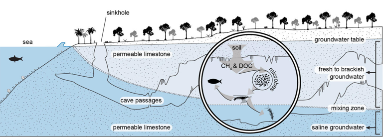 Three paths of water: The water 'web' that forms the world's longest ...