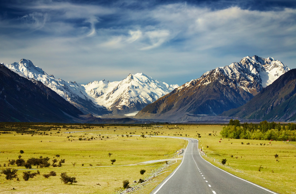 Epic Road Trip Stops In New Zealand